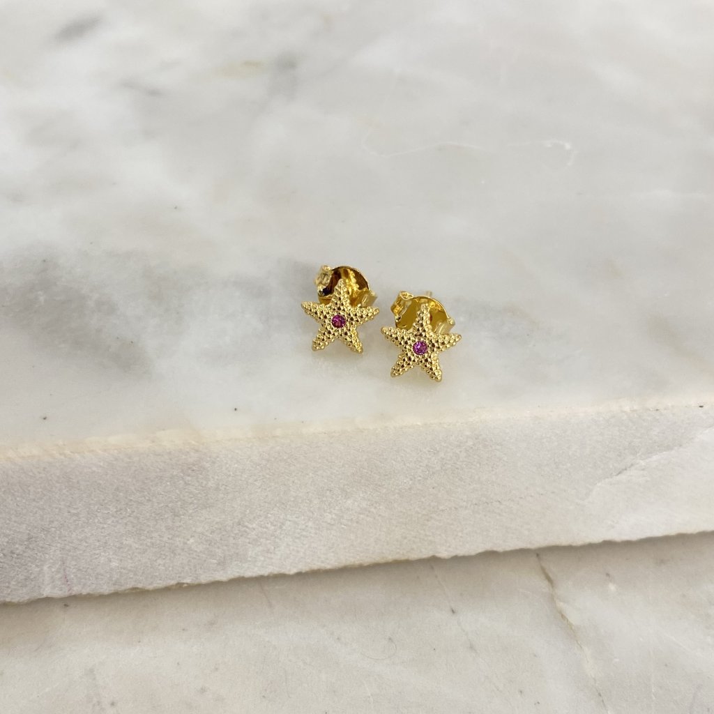 Aro infantil temas de mar estrellita